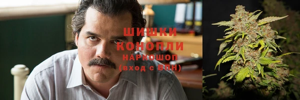 PSILOCYBIN Алексеевка
