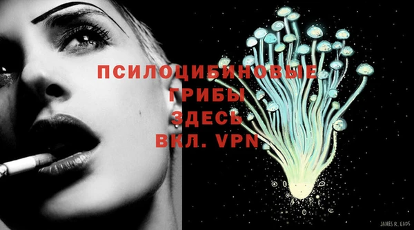 ГАЛЛЮЦИНОГЕННЫЕ ГРИБЫ Алексин