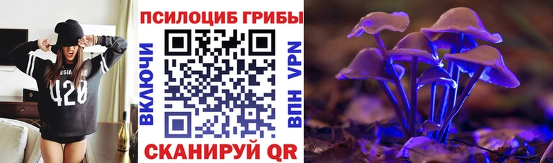 купить закладку  Пласт  Галлюциногенные грибы мухоморы 