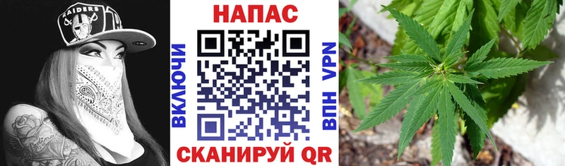 Бошки марихуана ГИДРОПОН  Пласт 